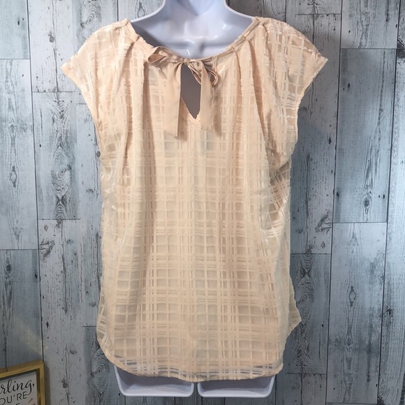 LC Lauren Conrad Vanilla Cream Velvet Bow Blouse Sz: M - Picture 4 of 10